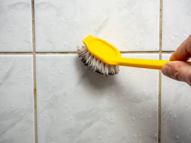 Best Certified Mold Removal  in Spring Valley Village, TX